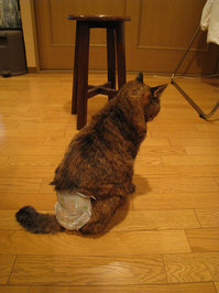 resize0692.jpg
