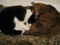 resize0693.jpg