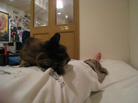 resize0694.jpg