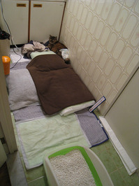 resize0696.jpg