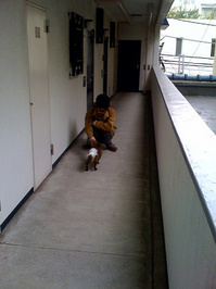 resize0700.jpg
