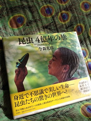 s昆虫4億年.jpg