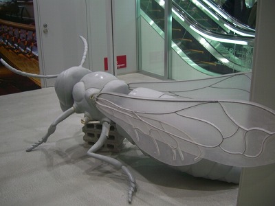 s-CIMG5079.jpg