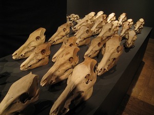 s-IMG_4190.jpg