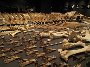 s-IMG_4193.jpg