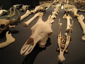 s-IMG_4197.jpg