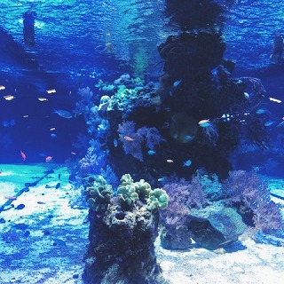 s-IMG_8675.jpg