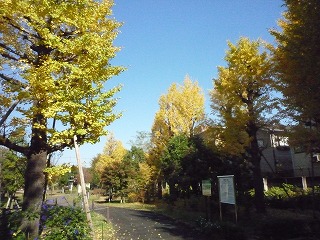 s-P1020860.jpg