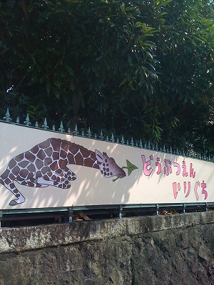 s-kyotozoo.jpg