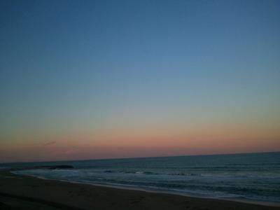th_2011-01-14 16.26.50.jpg