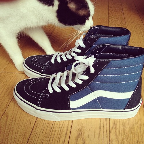 vansスケハイ_5274.jpg